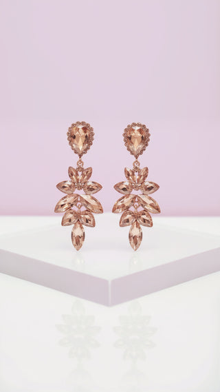 Teardrop Crystal Drop & Dangle Earrings