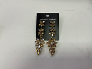 Women’s Earrings Drop ER5731