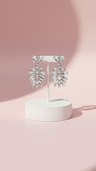 Teardrop Crystal Drop & Dangle Earrings