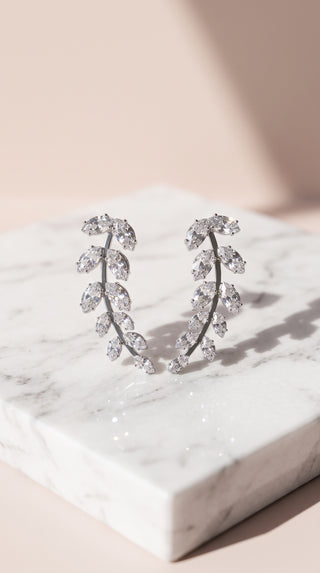 Curved Crystal Drop & Dangle Earrings
