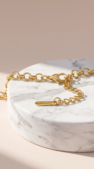 Cherry Crystal Gold Plated Steel Pendant Necklace