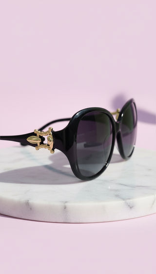 Oval Frame Acrylic Sunglasses Box of 12