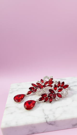 Curved Crystal Drop & Dangle Earrings