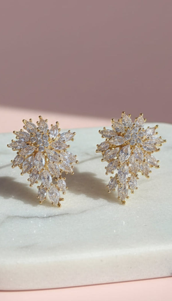 Clustered Crystal Drop & Dangle Earrings