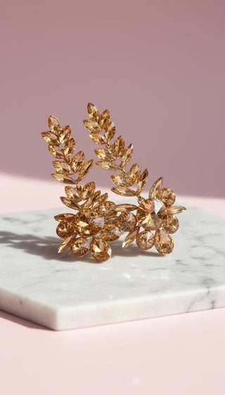 Statement Crystal Drop & Dangle Earrings