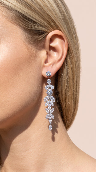 Crystal Drop & Dangle Statement Earrings