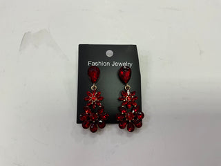 Women’s Earrings Dangle ER5687