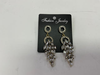 Women’s Earrings Dangle ER5597