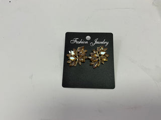 Women’s Earrings Stud ER5608