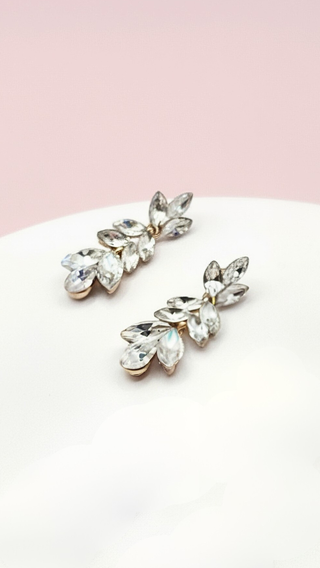 Decor Crystal Drop & Dangle Earrings