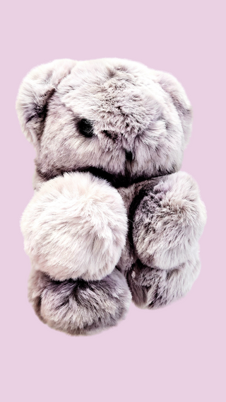 Plush Teddy Bear Backpack Bag