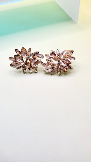 Kyra Stud Earrings ER5608