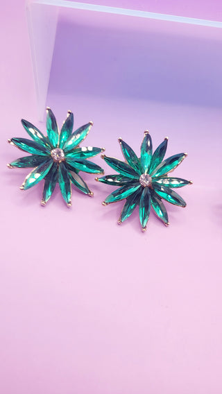 Anna stud Earrings ER5621