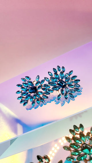 Flower Burst Earrings ER5688