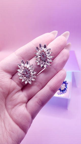 Daniella Stud Earrings ER5620