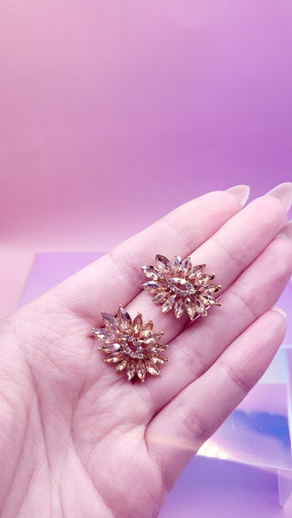 Daniella Stud Earrings ER5620