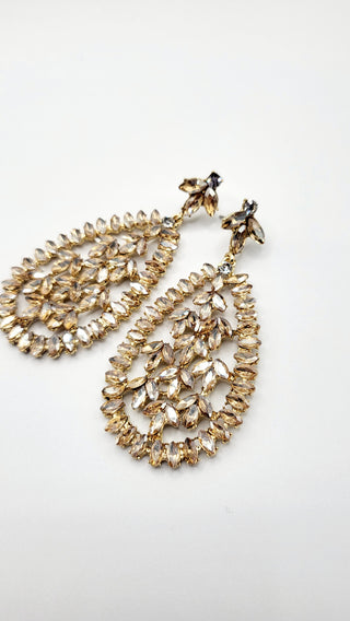 Portia Chandelier Earrings ER5629