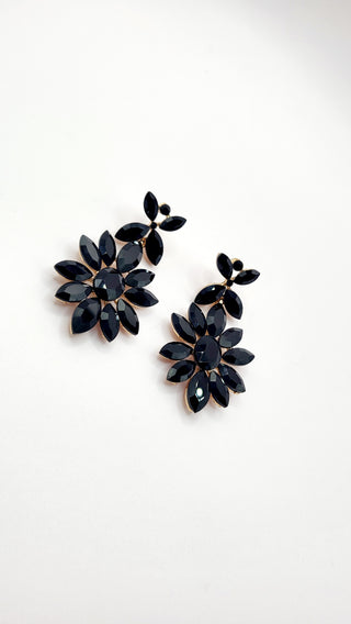 Ezra Earrings ER5732